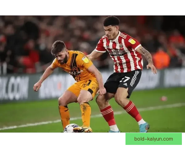 赫尔城主场连胜态势显著，球队状态持续回暖